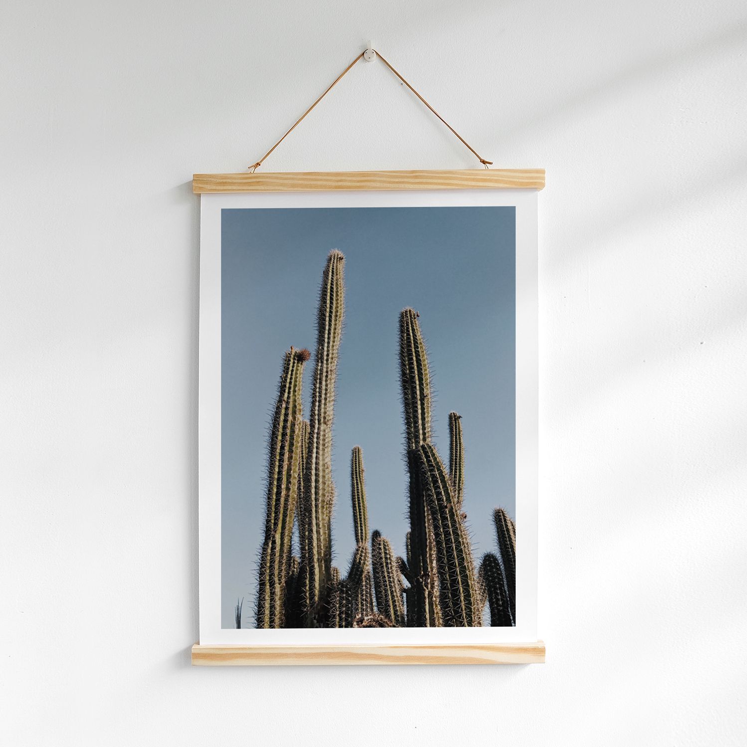 Poster nẹp gỗ Saguaro