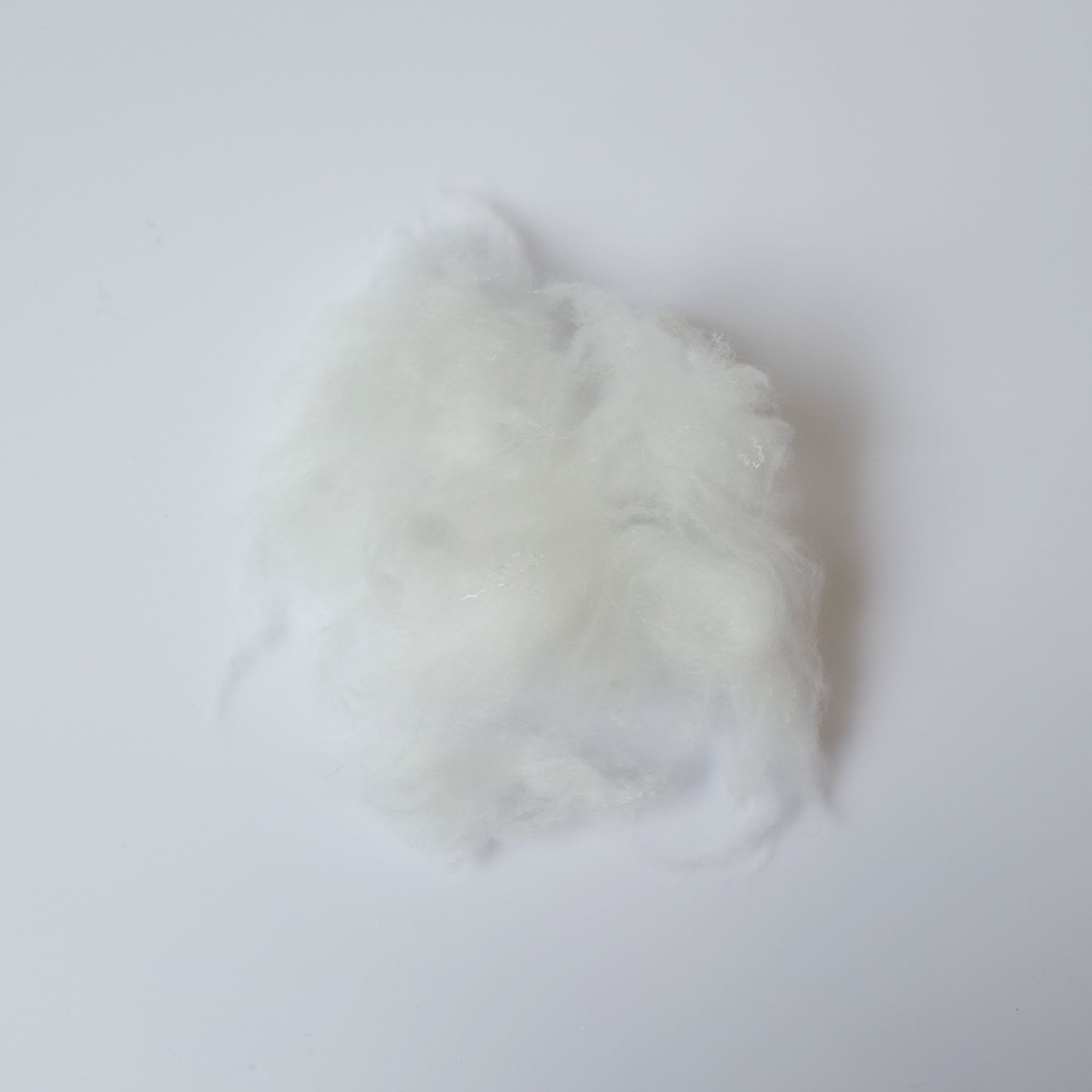 Ruột gối Premium