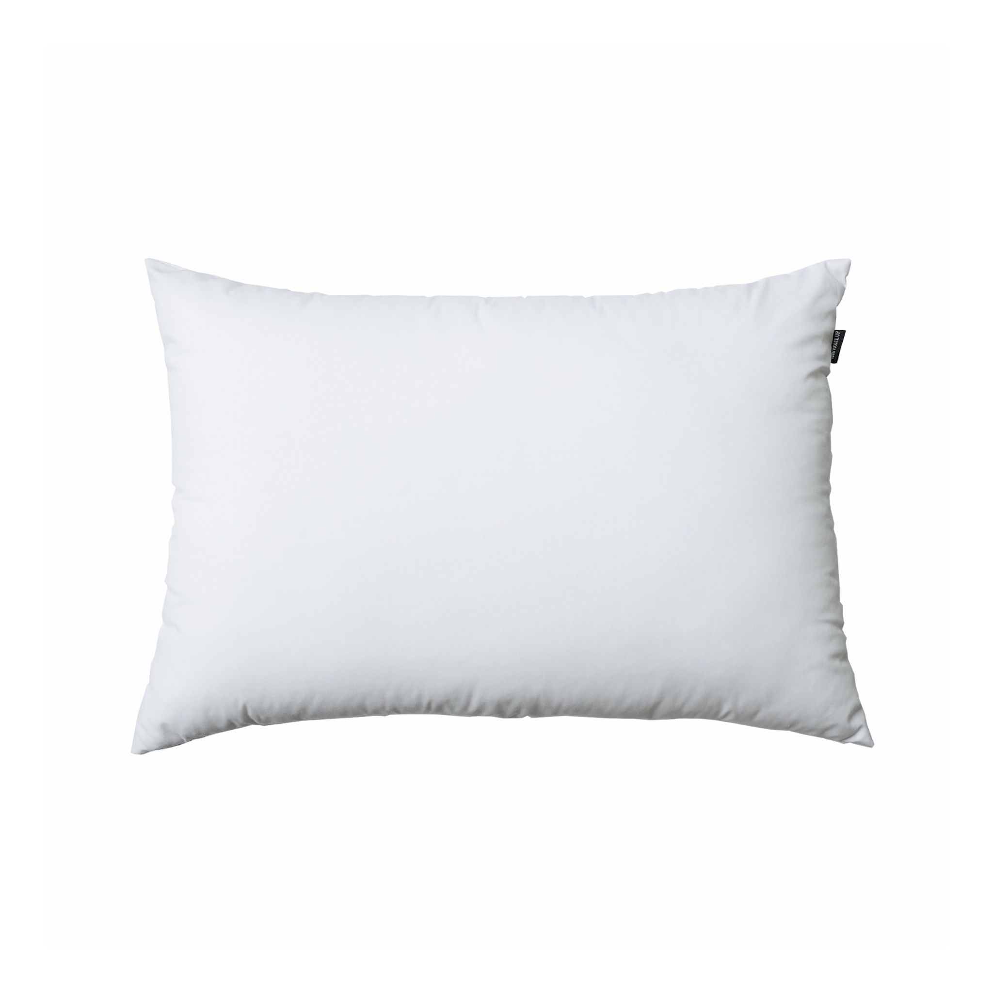 Ruột gối Standard