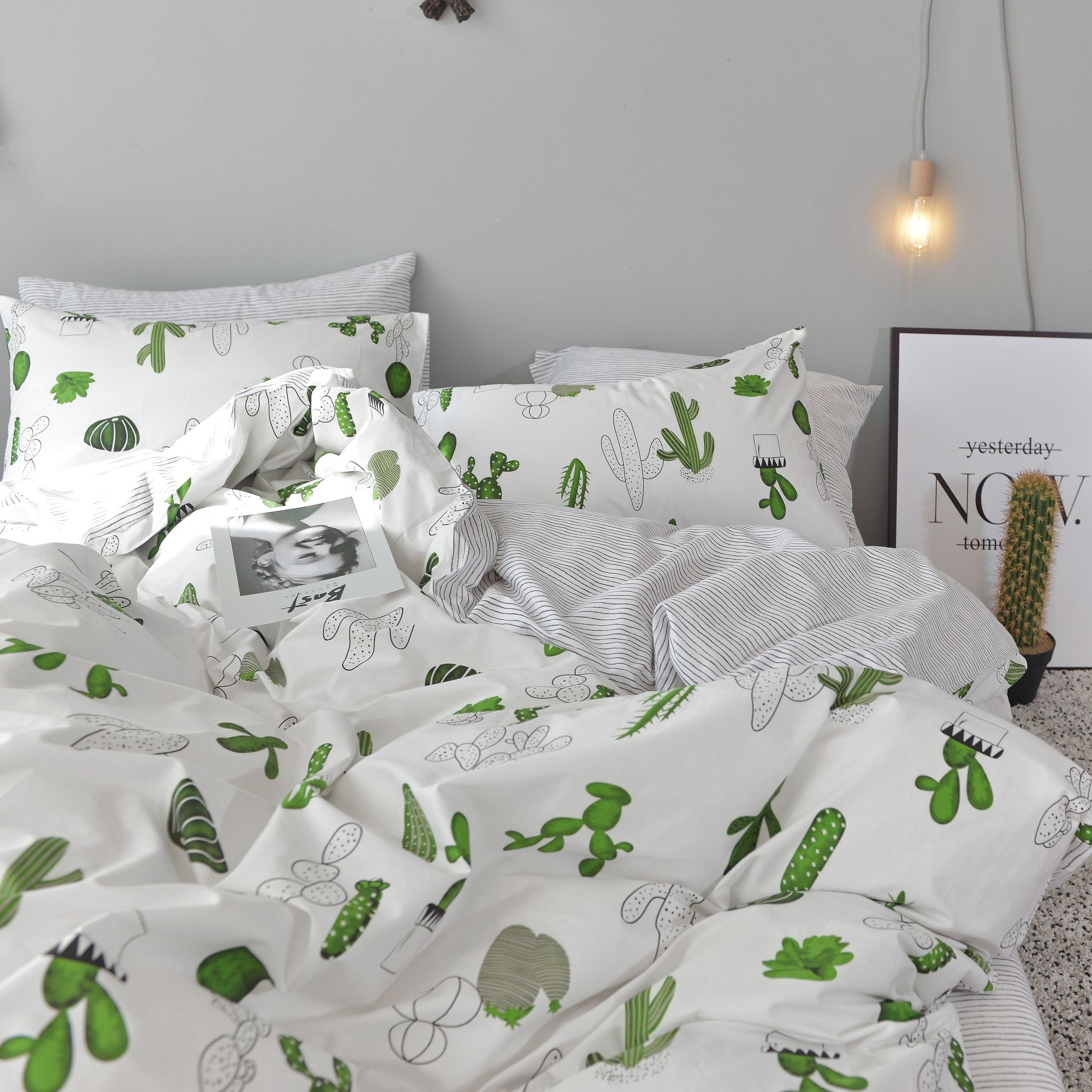Best price 153 Cactus