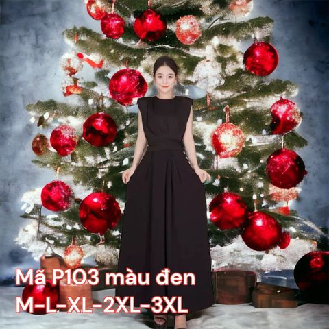  SET  BỘ P103 