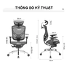 Ghế Công Thái Học - GTChair Davry Ivino Gen II -  Black - Grey - Smoke