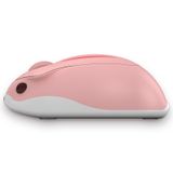 Chuột Không Dây - Akko Hamster Plus Wireless - Momo/ Taro / Hima