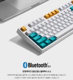 Bàn Phím Cơ Không Dây - Leopold FC750RBT PD Milk Turquoise / BT5.1 / USB-C