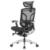 Ghế Công Thái Học - GTChair Dvary Butterfly - Black - Grey