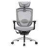 Ghế Công Thái Học - GTChair Marrit X - Black - Grey