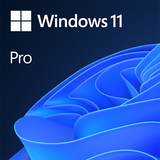 Windows 11 Pro 64Bit Engl Int 1pk DSP OEI DVD (FQC-10528)