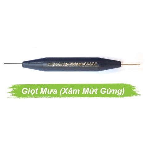 Cây giọt sương (Xăm mứt gừng)