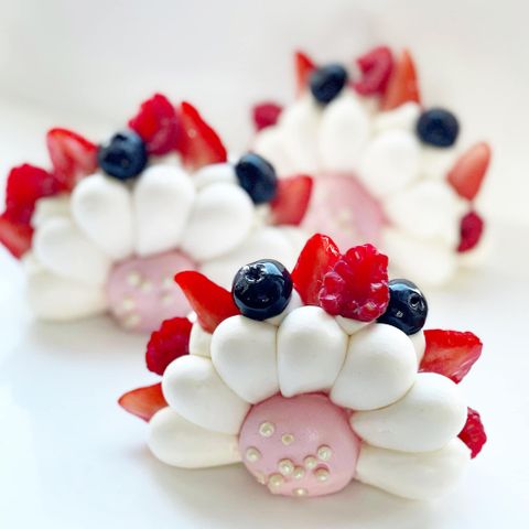  Pavlova Flower 