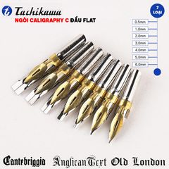 Ngòi Calligraphy TACHIKAWA loại C (Đầu Dẹt) - TACHIKAWA Calligraphy Pen Nib Type C (Flat)