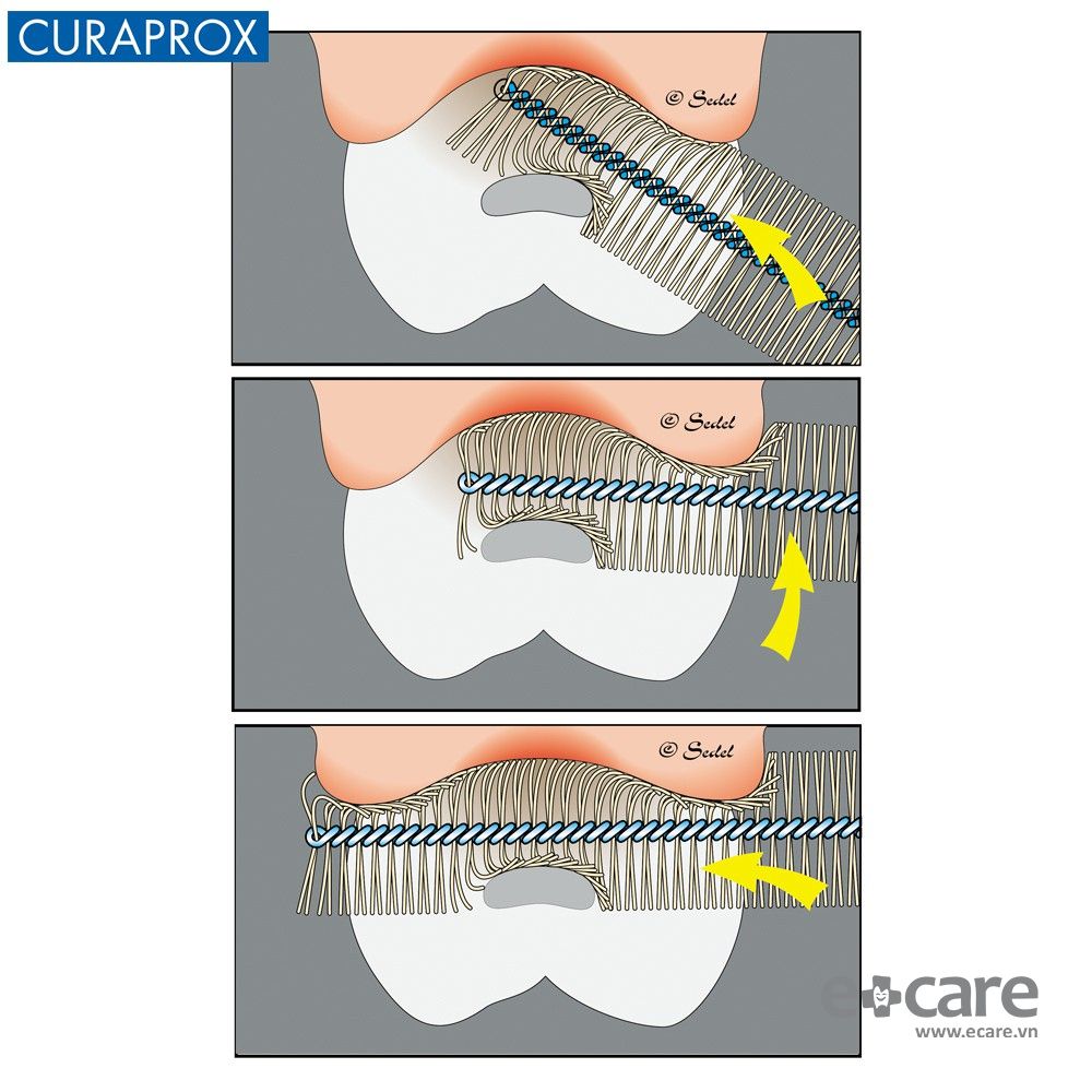  Tăm chải kẽ răng Curaprox Chairside CPS 011 