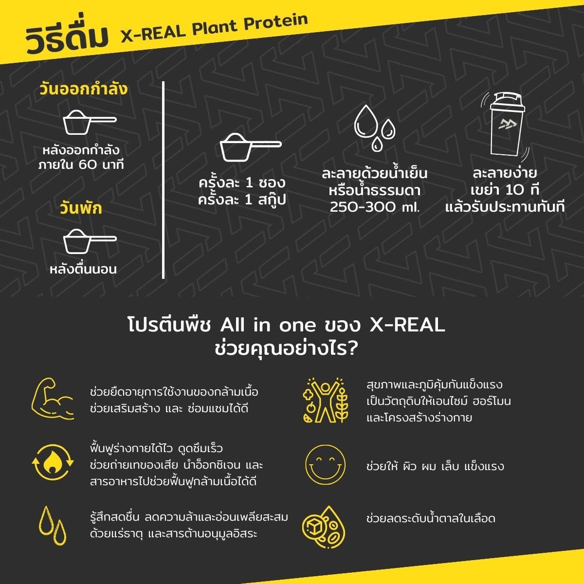  Bột phục hồi năng lượng X-Real với BCAA và Protein thực vật 907g 