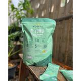  Bột năng lượng X-Real B-Yond Plant-Based Protein 35g 