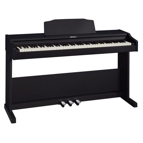ROLAND RP-102
