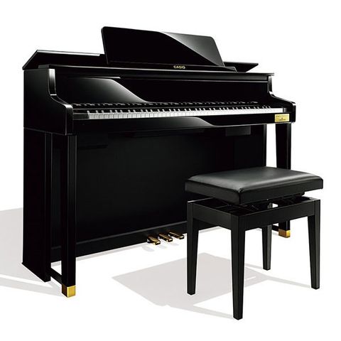 CASIO GP500BP