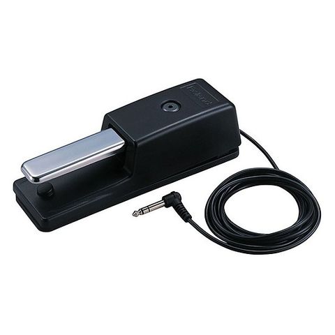 Roland DP-10 Pedal