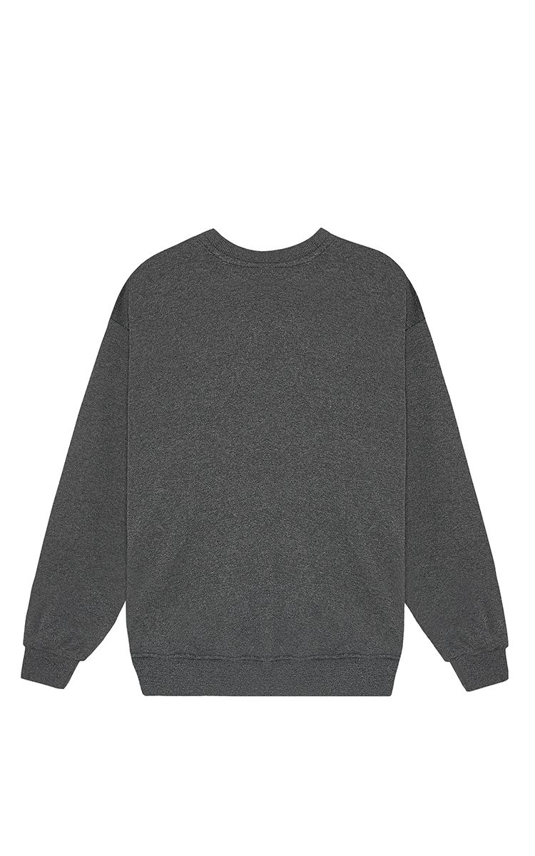 Champion Sweater In Grey