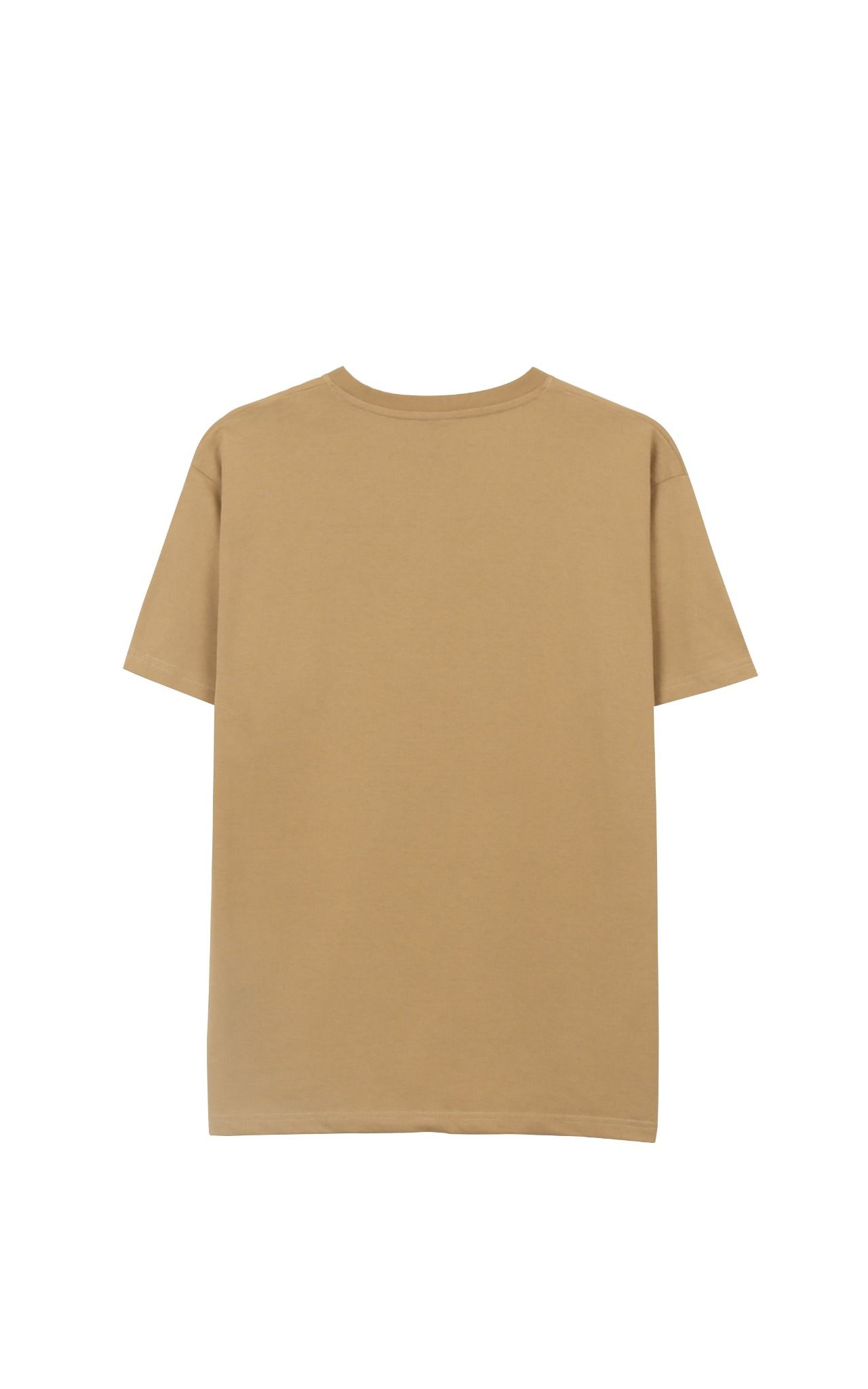 Champion Graphic Big Logo T-Shirt In Tan