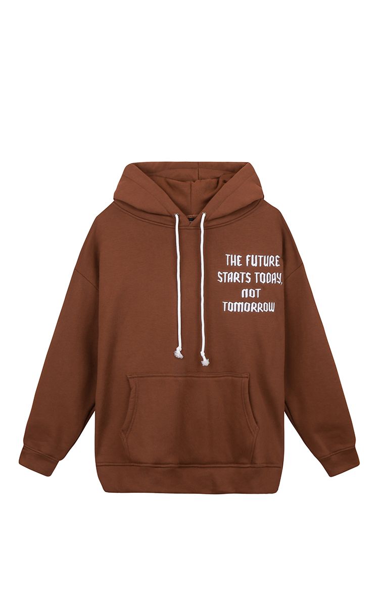 The Earth Embroidered Hoodie In Brown