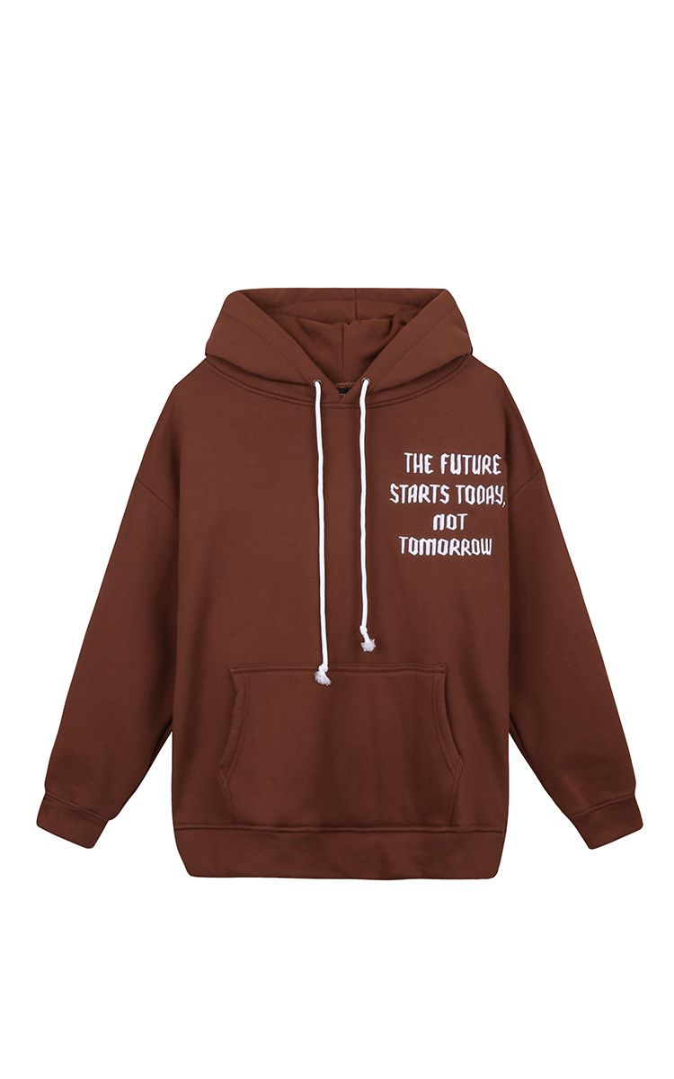 The Earth Embroidered Hoodie In Brown