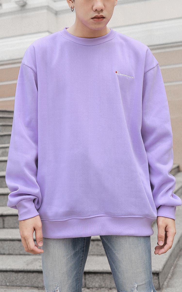 Champion Sweater In Purple
