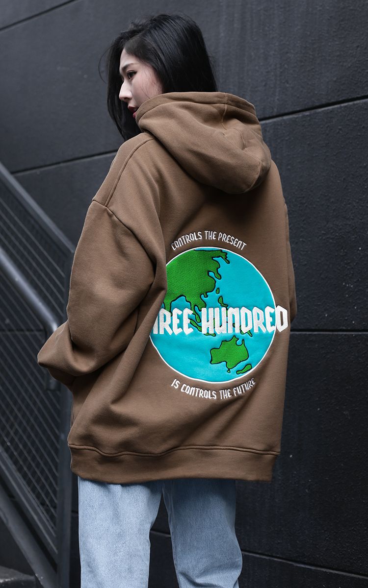 The Earth Embroidered Hoodie In Brown