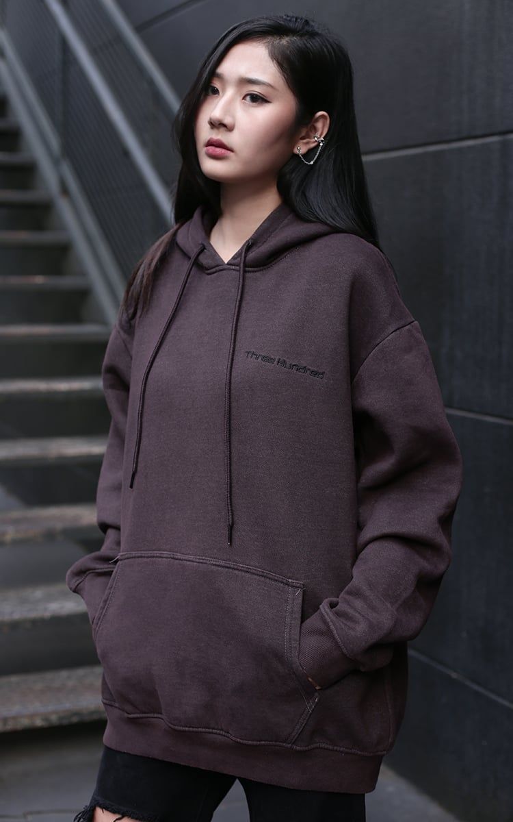 Three Hundred Embroidered Logo Hoodie In Brown