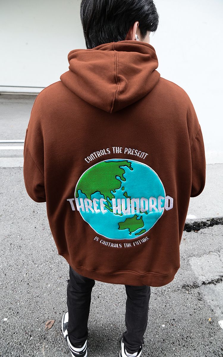 The Earth Embroidered Hoodie In Brown