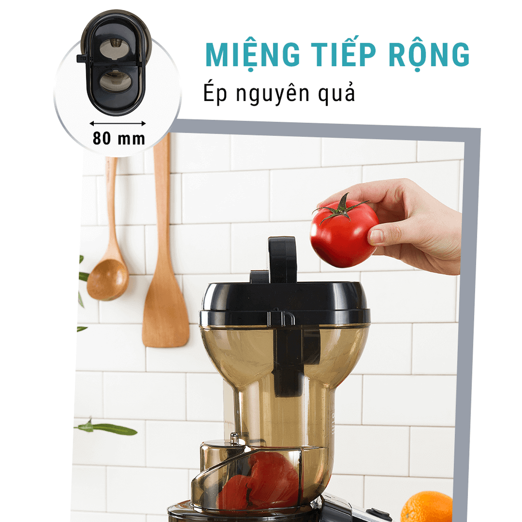 Máy ép chậm Fellia S265 (250W) - màu xám/đen