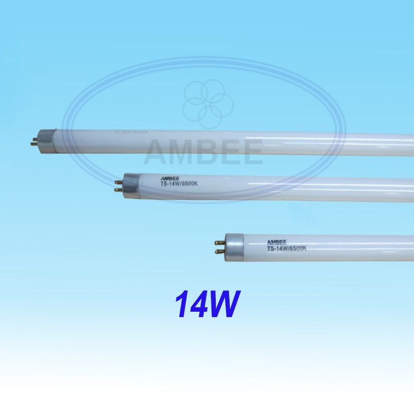 T5 Fluorescent Lamp 0.6M/14W