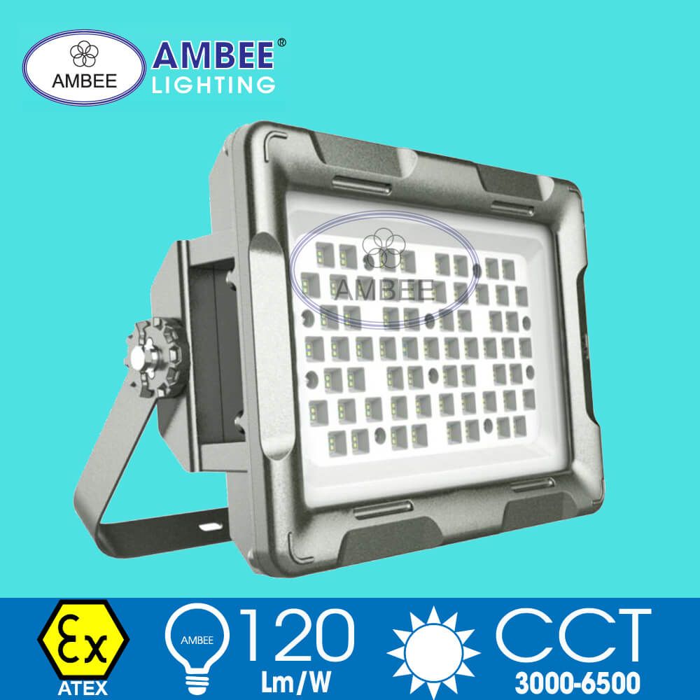 Đèn Led Chống Cháy Nổ F8260 220W