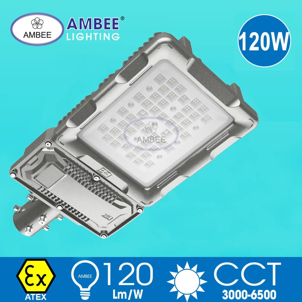 Đèn Led Chống Cháy Nổ F8269 120W