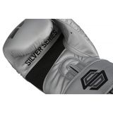  Găng tay boxing Title Silver Series Training Gloves 