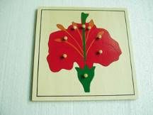 Flower Puzzle（PLYWOOD NEW) GHÉP HÌNH BÔNG HOA CỠ LỚN