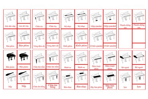 Piano Nomenclature Cards