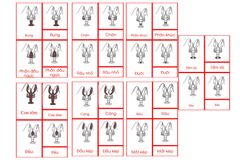 Crayfish Nomenclature Cards