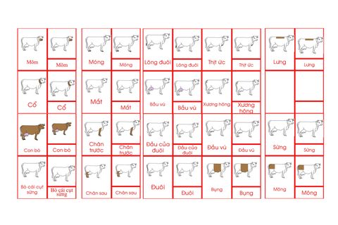 Cow Nomenclature Cards