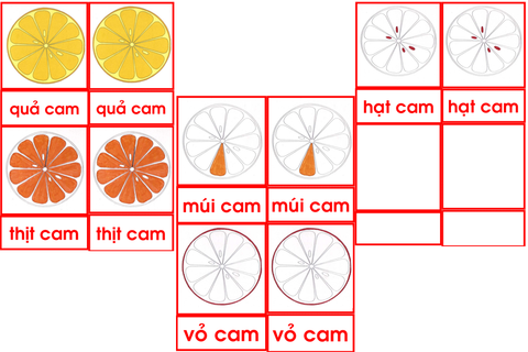 Bộ thẻ quả cam