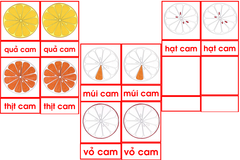 Bộ thẻ quả cam