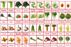 Vegetable card 3 to 6