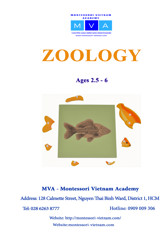 Zoology - AGES 2.5 - 6