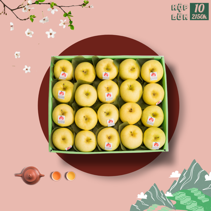 Hộp quà tết lớn 10