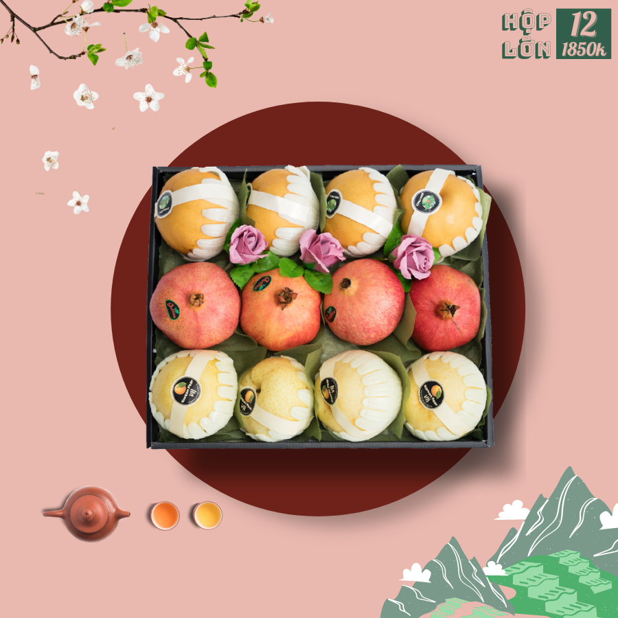 Hộp quà tết lớn 12
