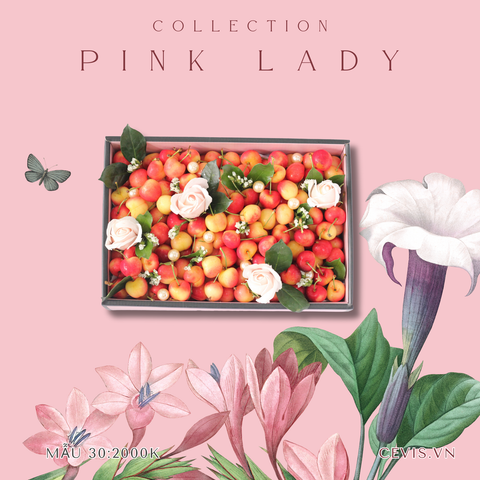  Hộp quà Pink Lady P30 