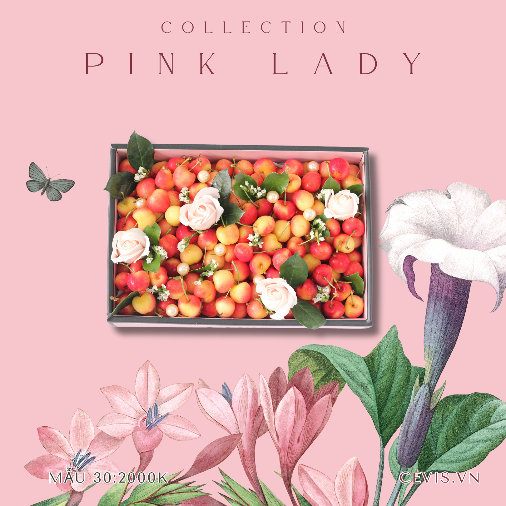 Hộp quà Pink Lady P30