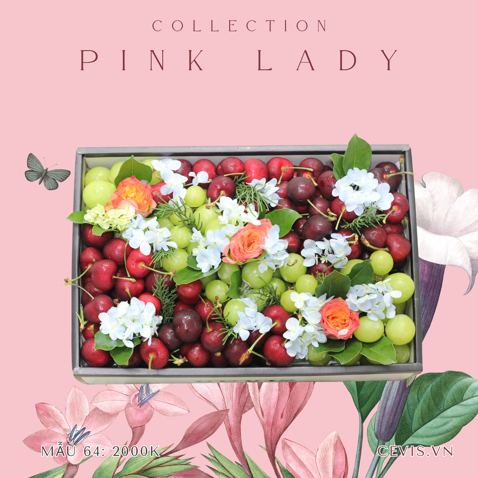 Hộp quà Pink Lady P64