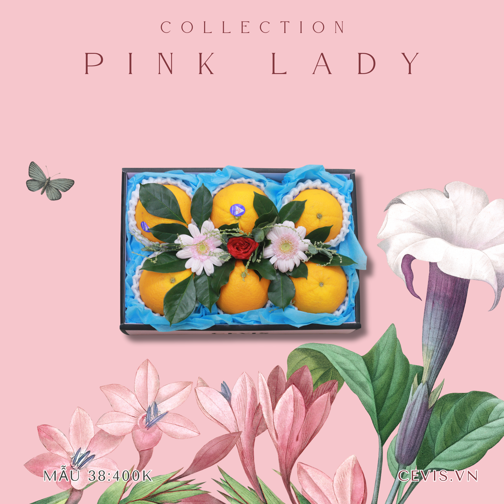 Hộp quà Pink Lady P38