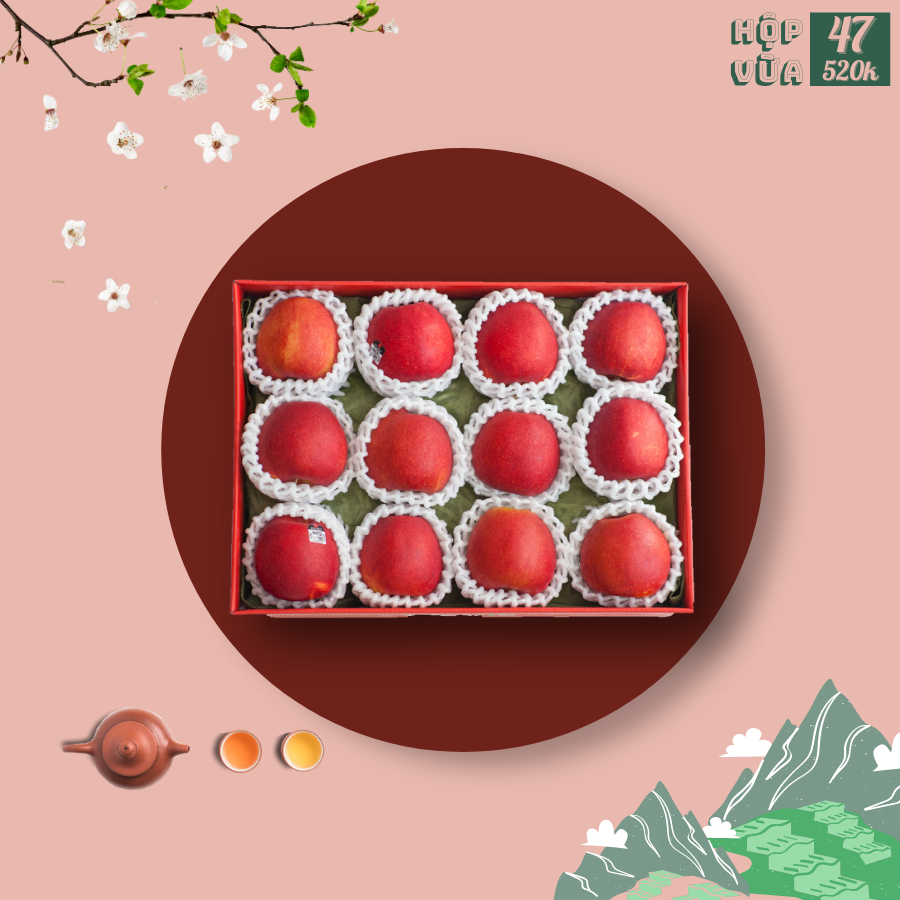 Hộp quà size vừa 47