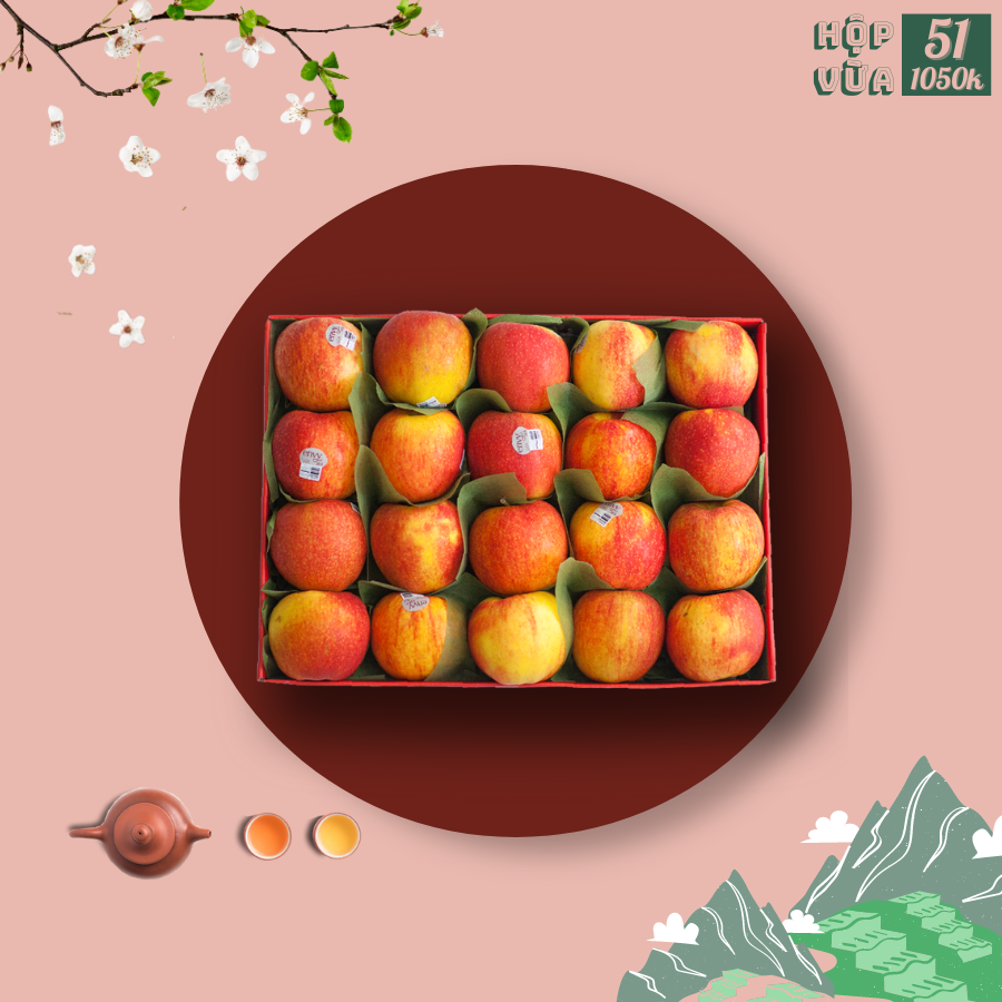 Hộp quà size vừa 51