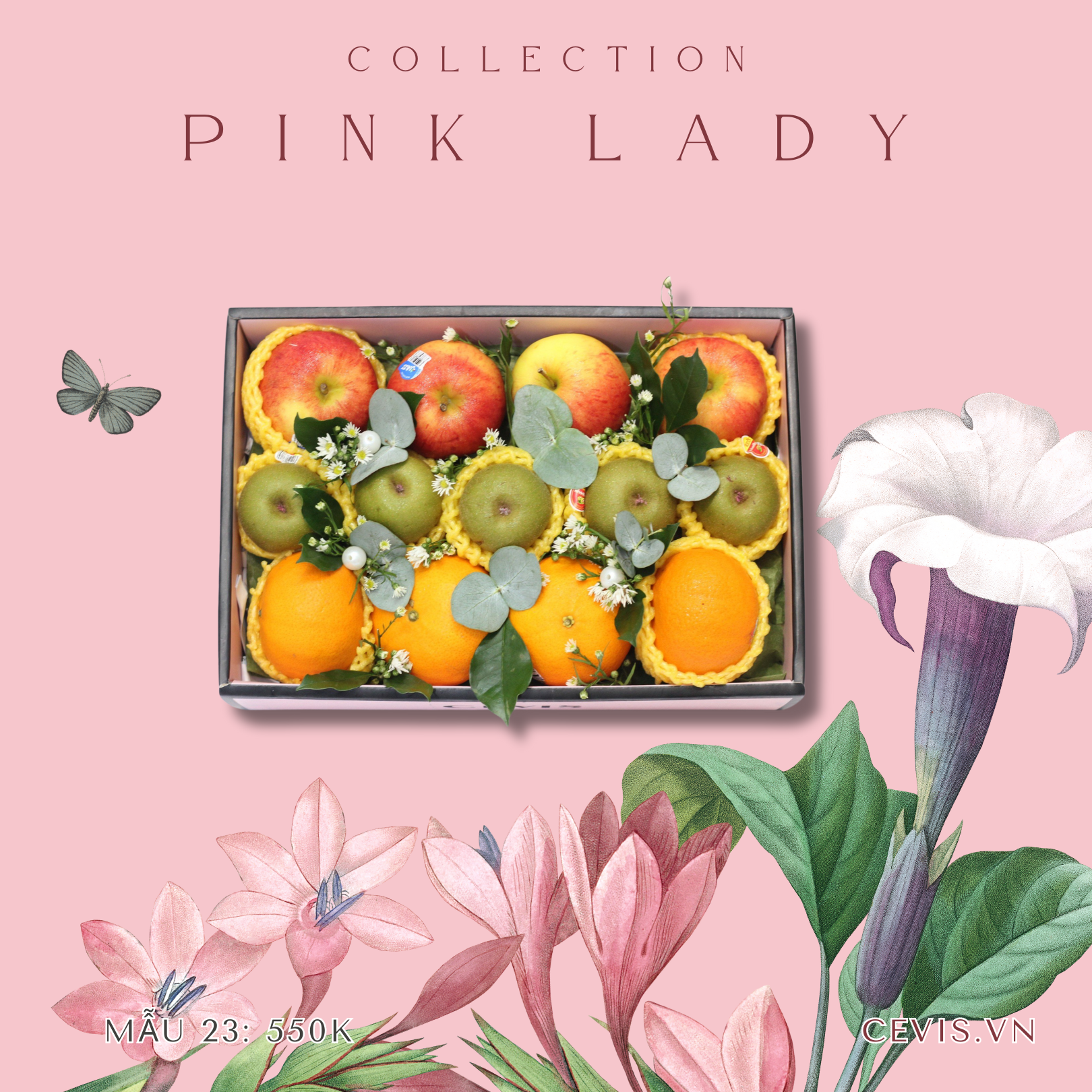 Hộp quà Pink Lady P23